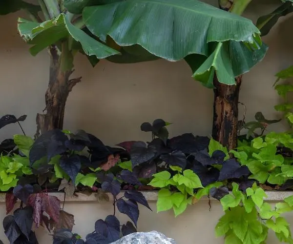 ホテル デル コルソ 3*