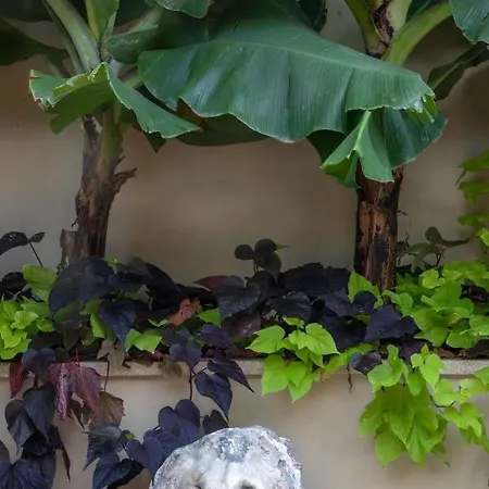 Отель Del Corso 3*